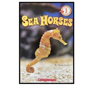 BUNDLE & SAVE🦈 Sea Horses Reader